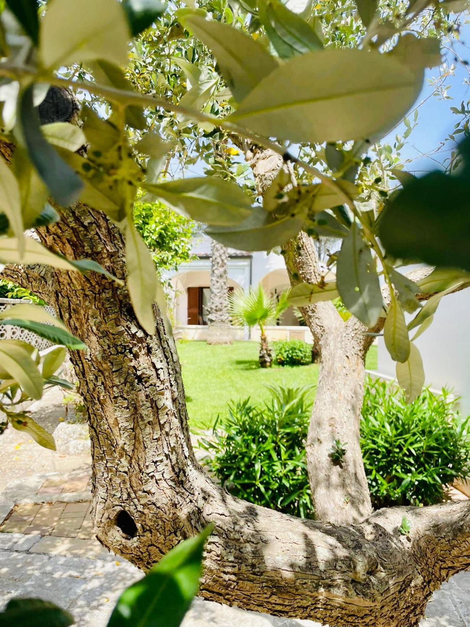 Trulli Ada Βίλα Νότσι Εξωτερικό φωτογραφία